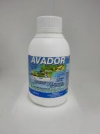 AVADOR