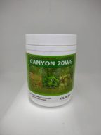 CANYON 20WG
